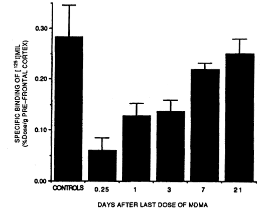 graph of serotonin receptor density after MDMA use